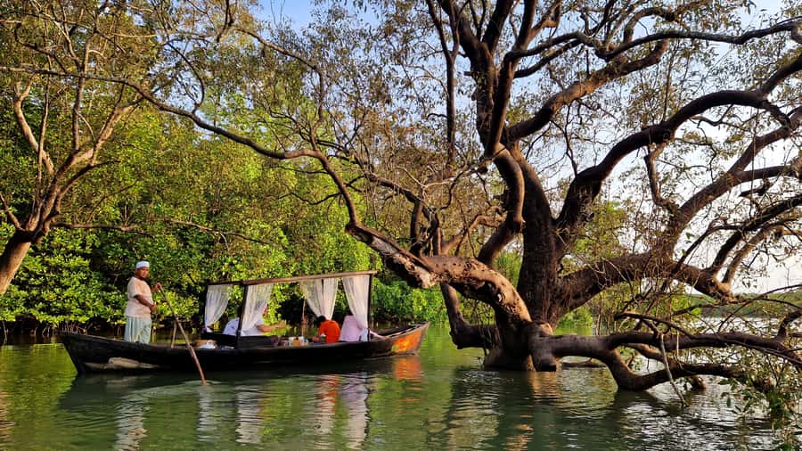 Koh Lanta: Romantic Sunrise Private Gondola Tour - Mangroves, macaques, and small wildlife