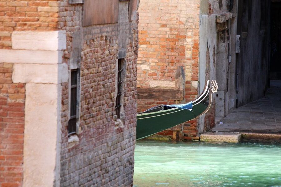 Private Venice Walking Tour and Gondola Ride - Price, pace, and overall value at $262.82